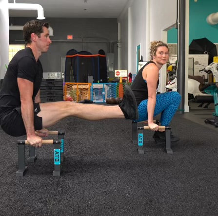 Mini Parallettes